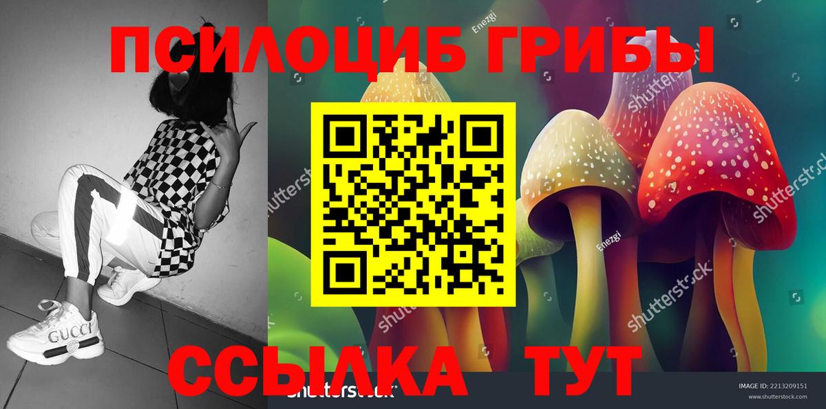 Галлюциногенные грибы мицелий  Вход с VPN  Галлюциногенные грибы Magic Shrooms  Елабуга 