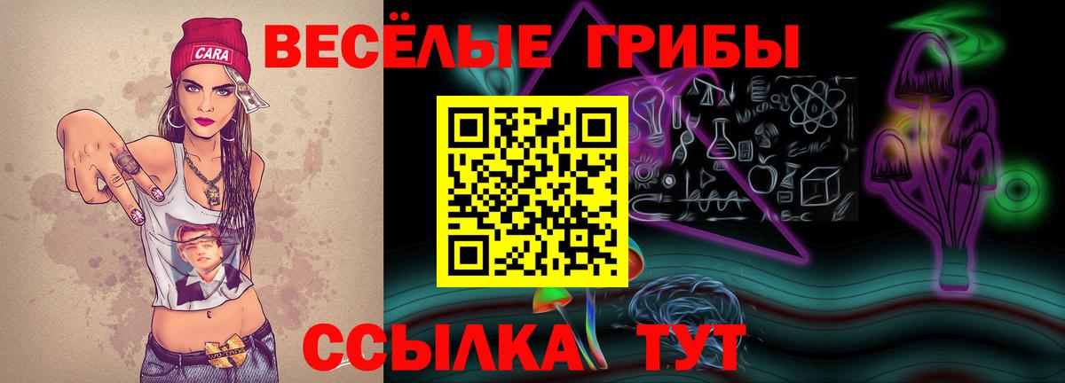 Галлюциногенные грибы MAGIC MUSHROOMS Елабуга